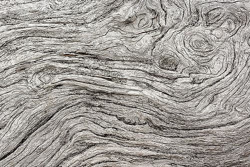 Geometric pattern in eroded driftwood-Bandon Beach-Oregon Beach Print